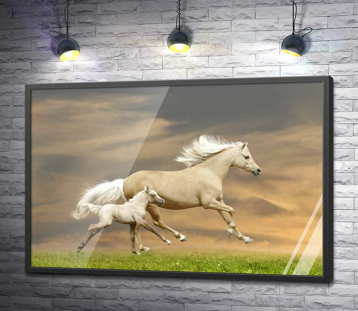 постер Белые кони, мать и детеныш, скачут по траве