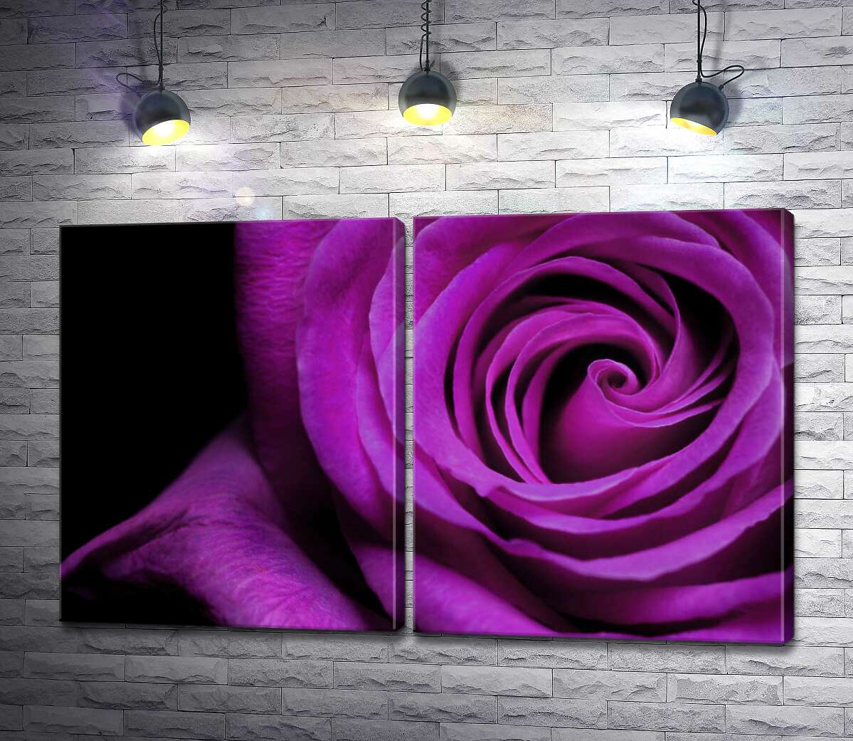 модульна картина Пурпур пелюстків благородної троянди