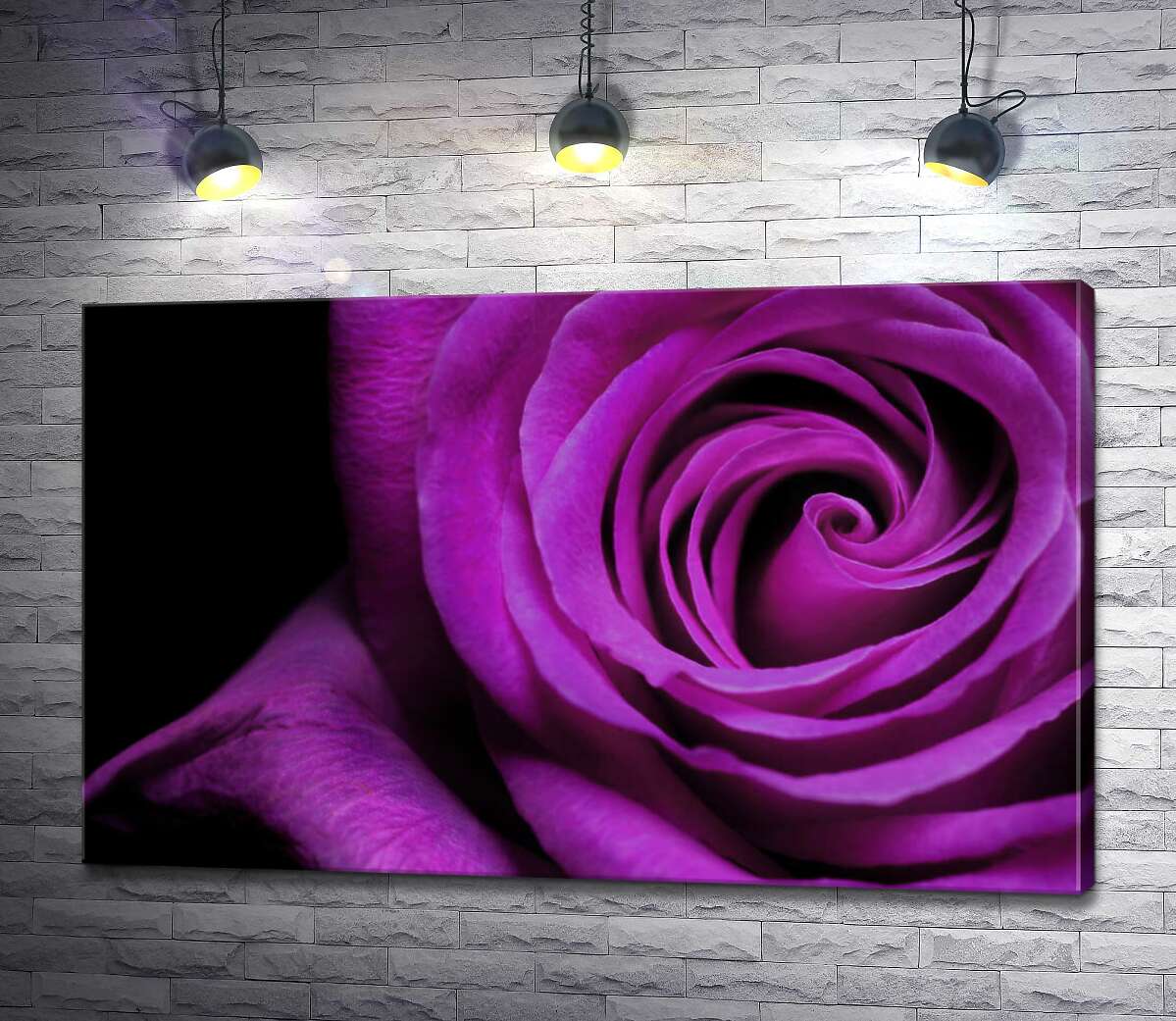 картина Пурпур пелюстків благородної троянди