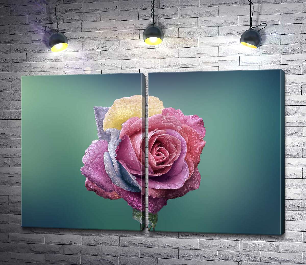 модульна картина Орошений краплями дощу, кольоровий бутон троянди