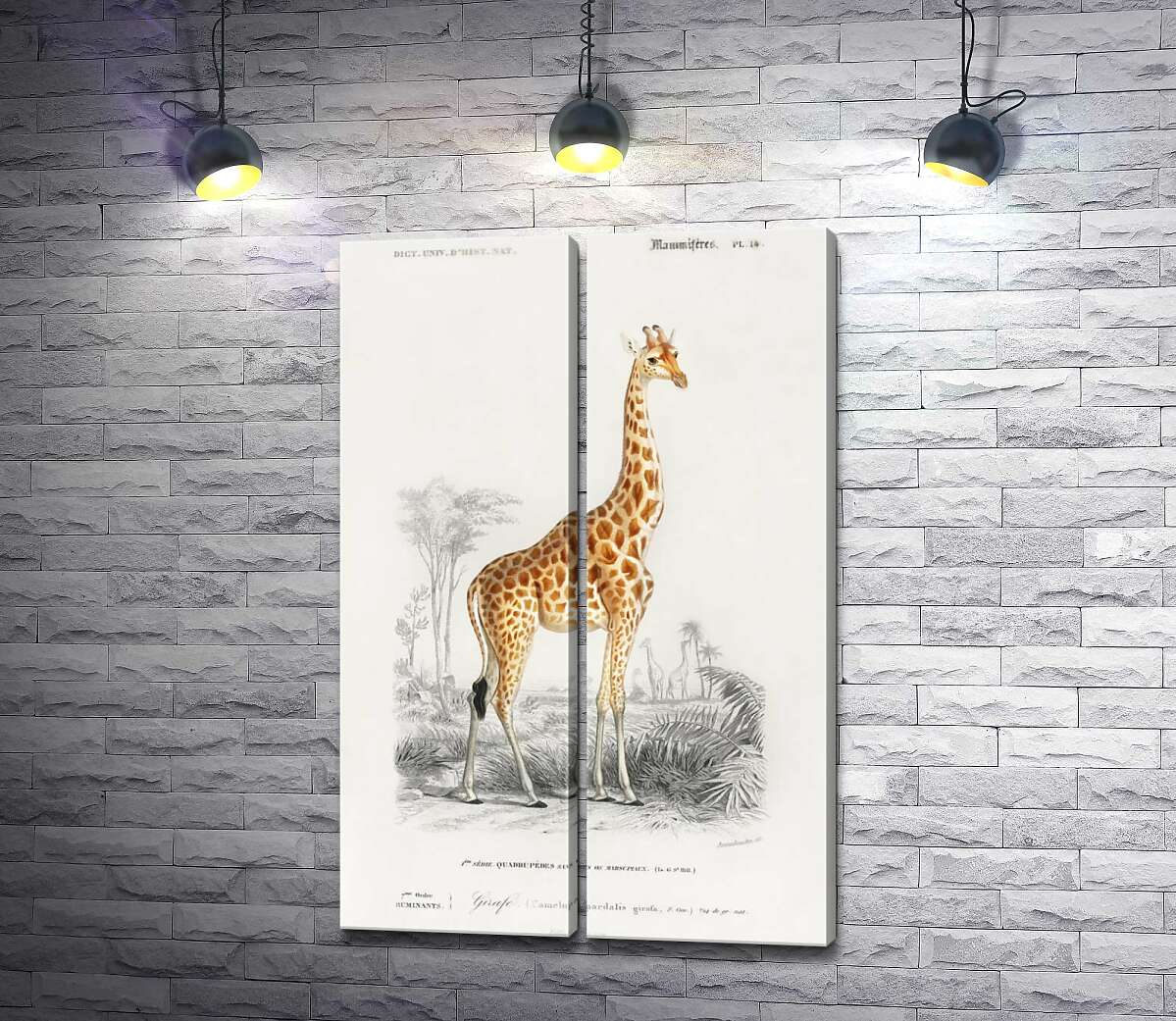 модульная картина Стройный силуэт пятнистого жирафа