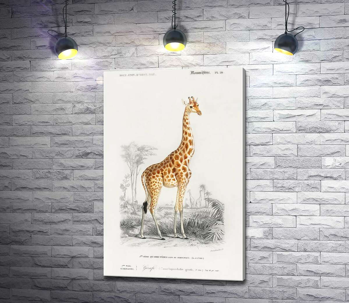картина Стройный силуэт пятнистого жирафа