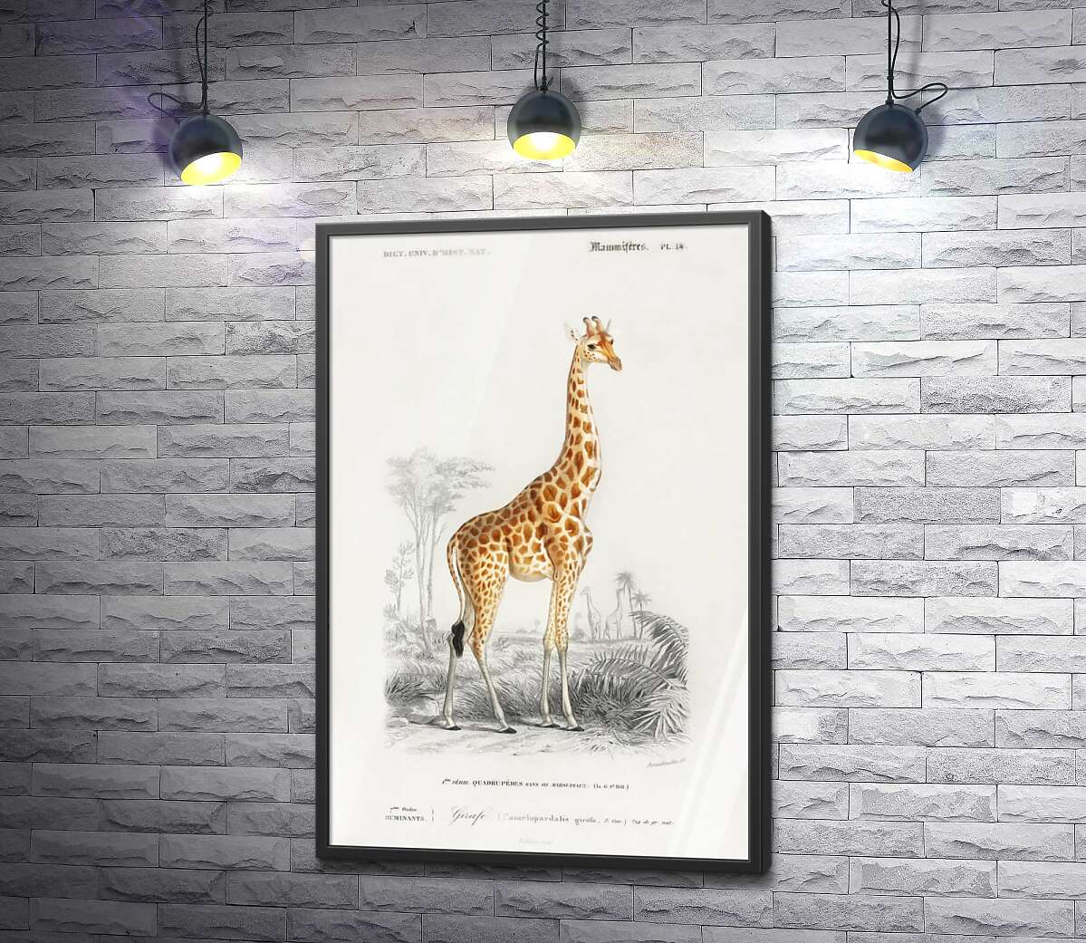 постер Стройный силуэт пятнистого жирафа