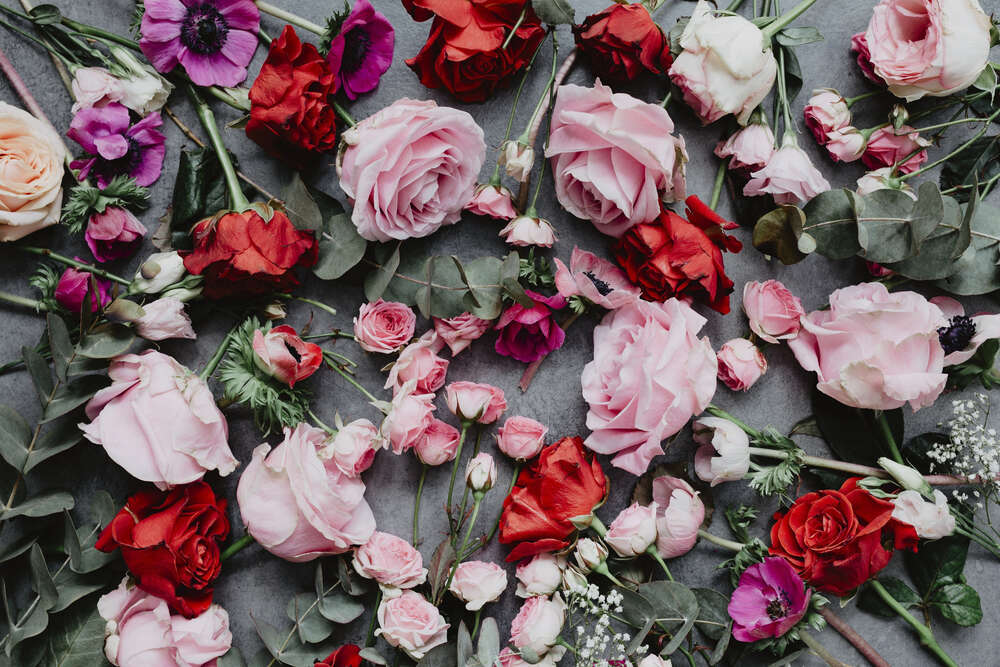 картина-постер Мягкое сочетание цветов в ковре роз