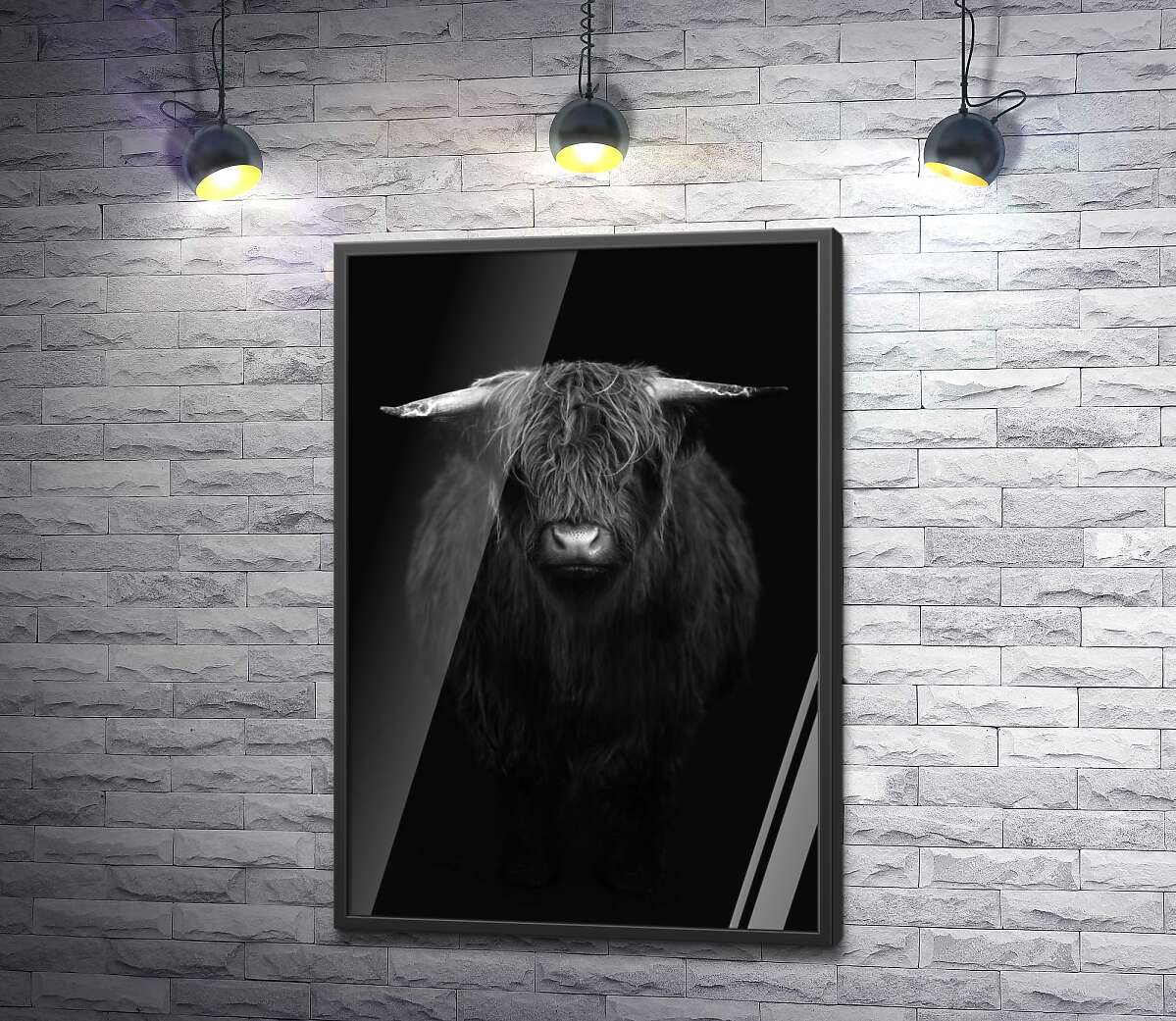 постер Грозные рога коровы хайленд