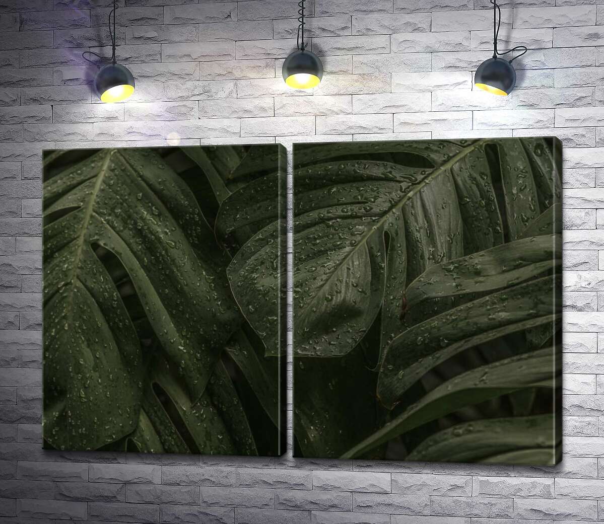 модульная картина Тропические листья лианы в каплях дождя