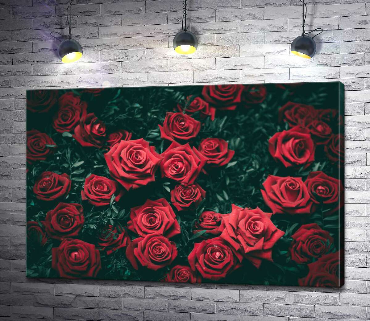 картина Гострі кінчики пелюсток троянд