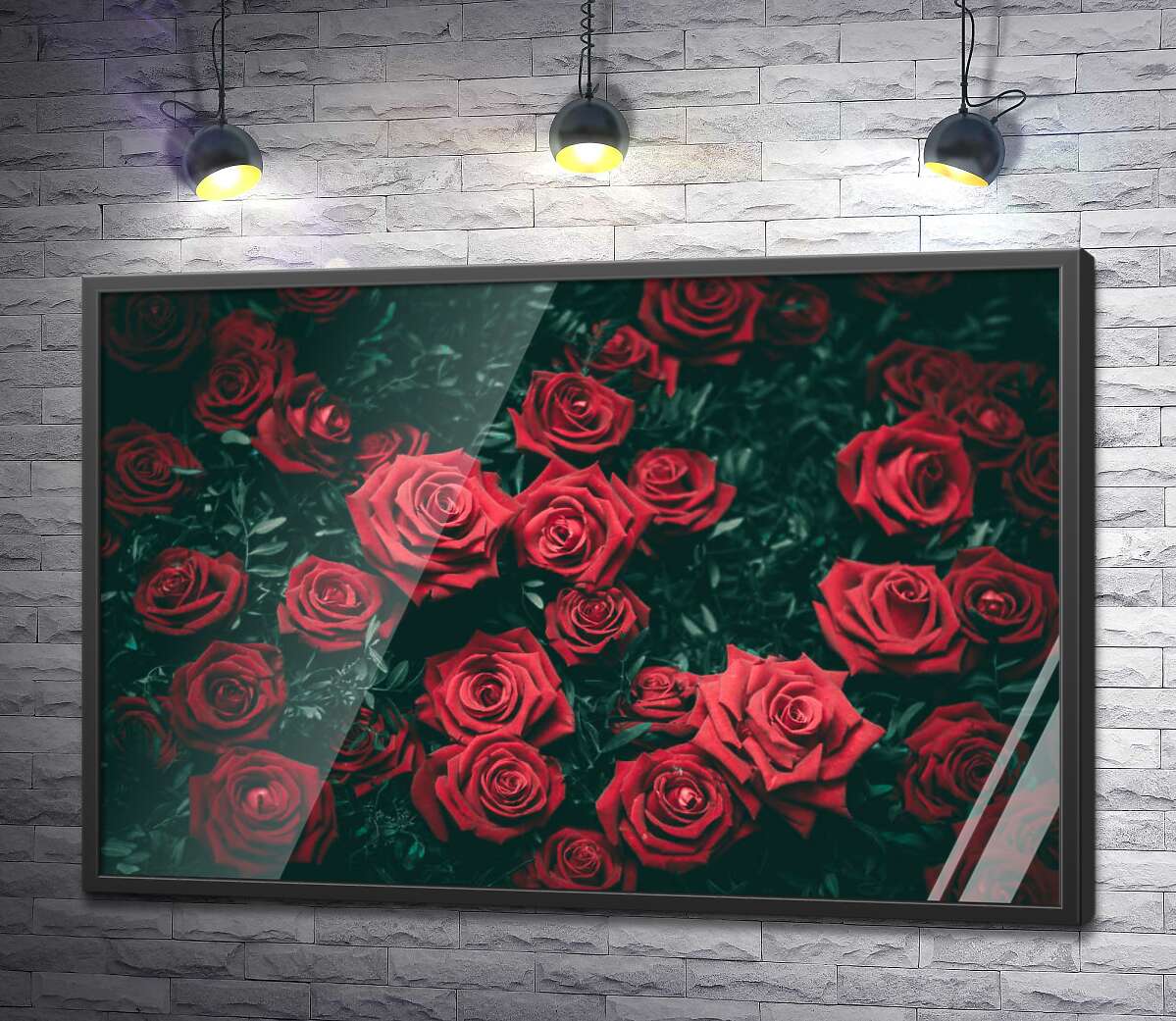 постер Острые кончики лепестков роз