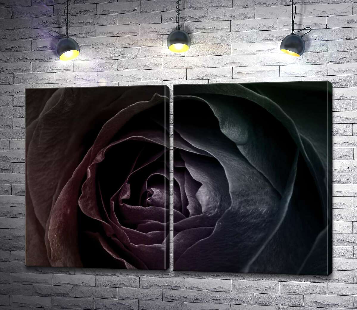 модульная картина Черный блеск лепестков розы