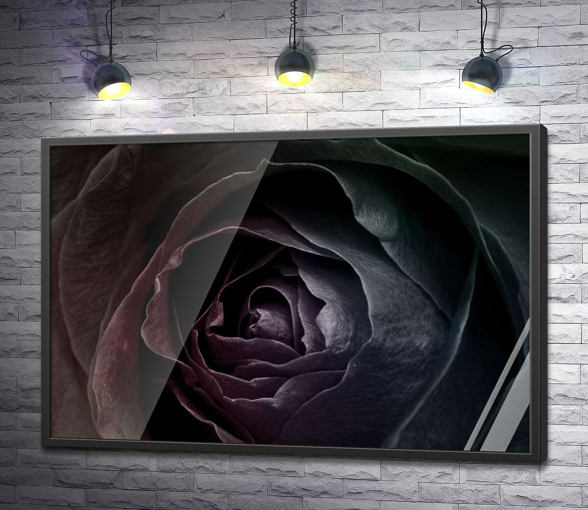 постер Чорний блиск пелюсток троянди