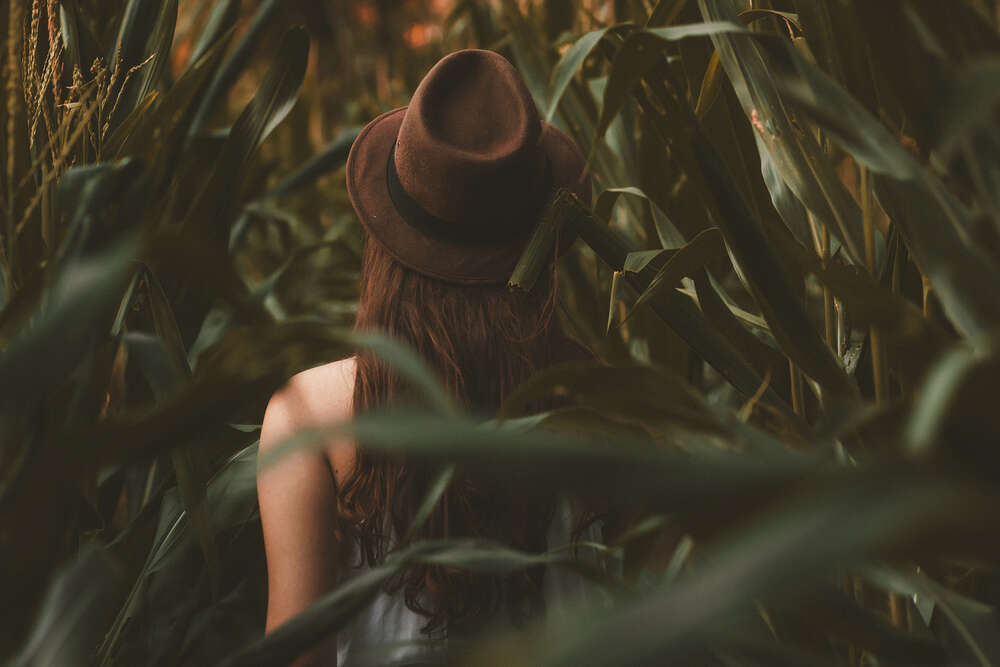 картина-постер Романтический образ девушки в поле кукурузы