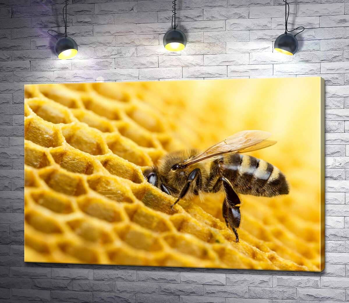 картина Старанна бджола наповнює соту нектаром