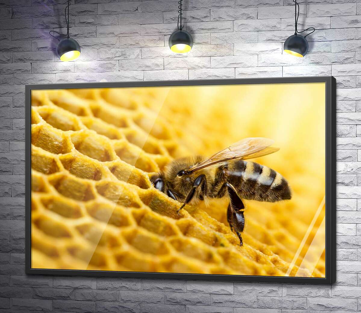 постер Старательная пчела наполняет соту нектаром