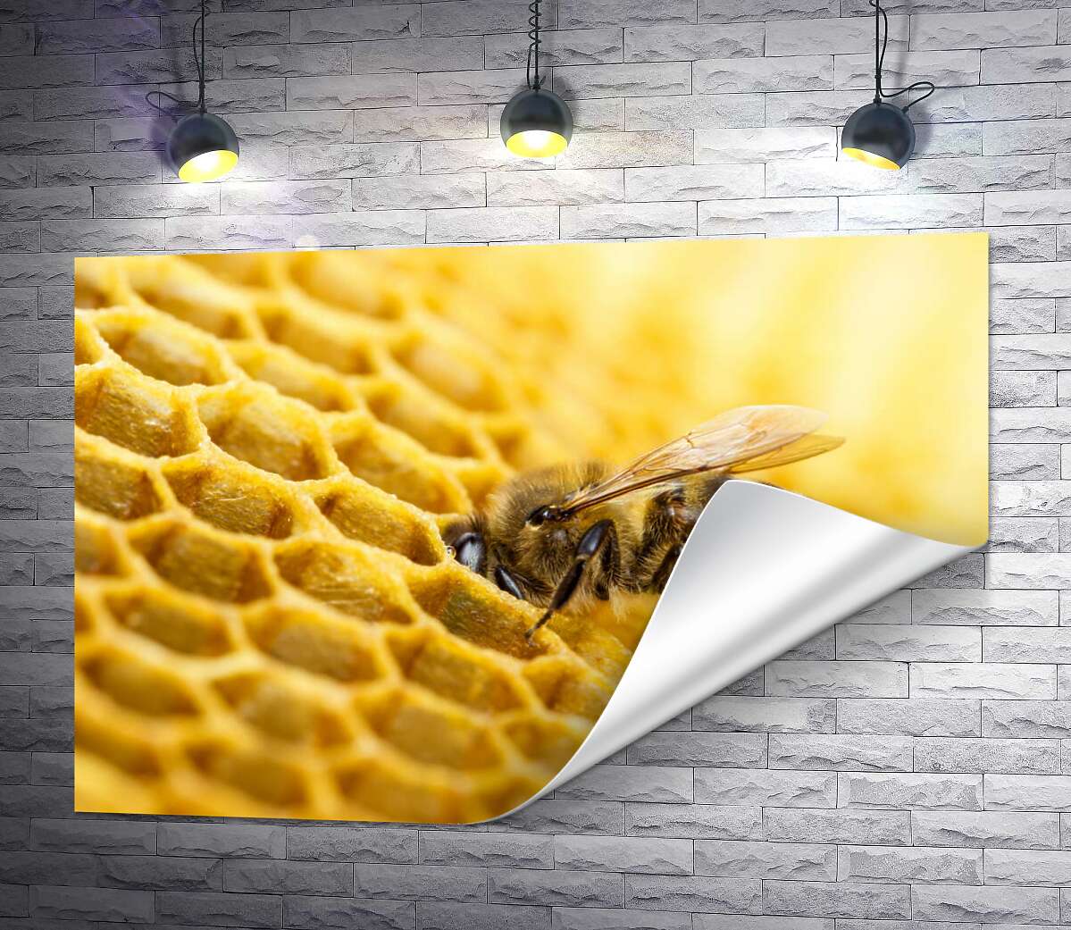 друк Старанна бджола наповнює соту нектаром
