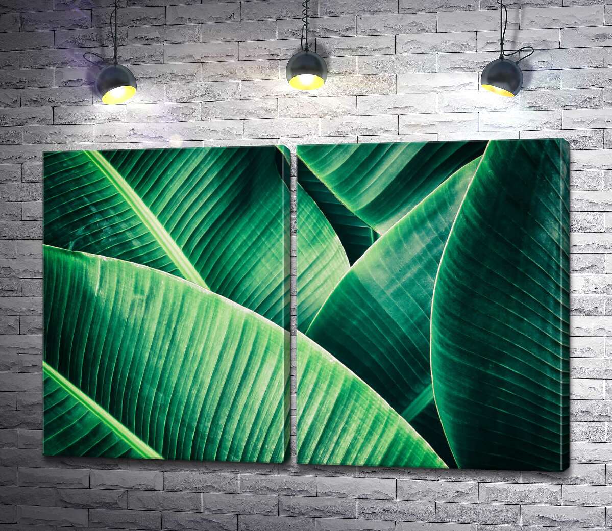 модульная картина Тропические оттенки зеленого на широких банановых листьях