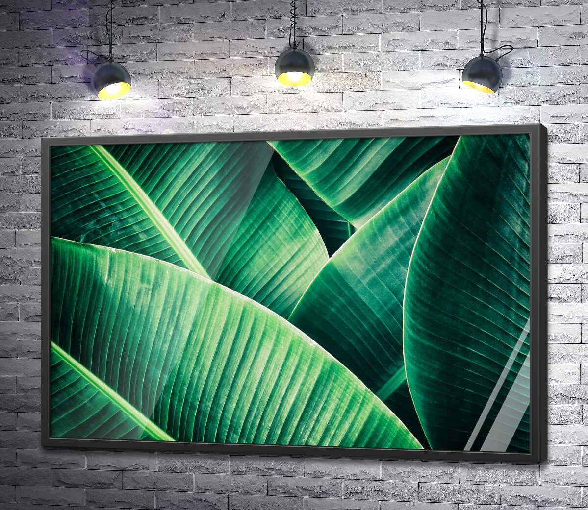 постер Тропические оттенки зеленого на широких банановых листьях
