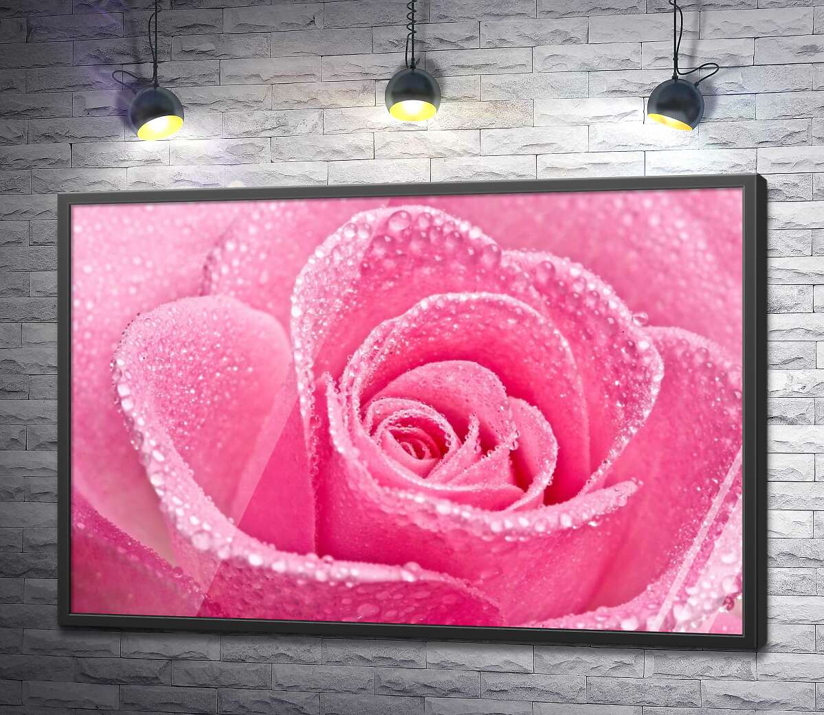 постер Бриллиантовый блеск росы на бутоне розы