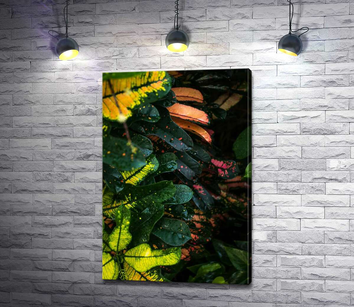 картина Плямисте листя зеленого куща кодіеума