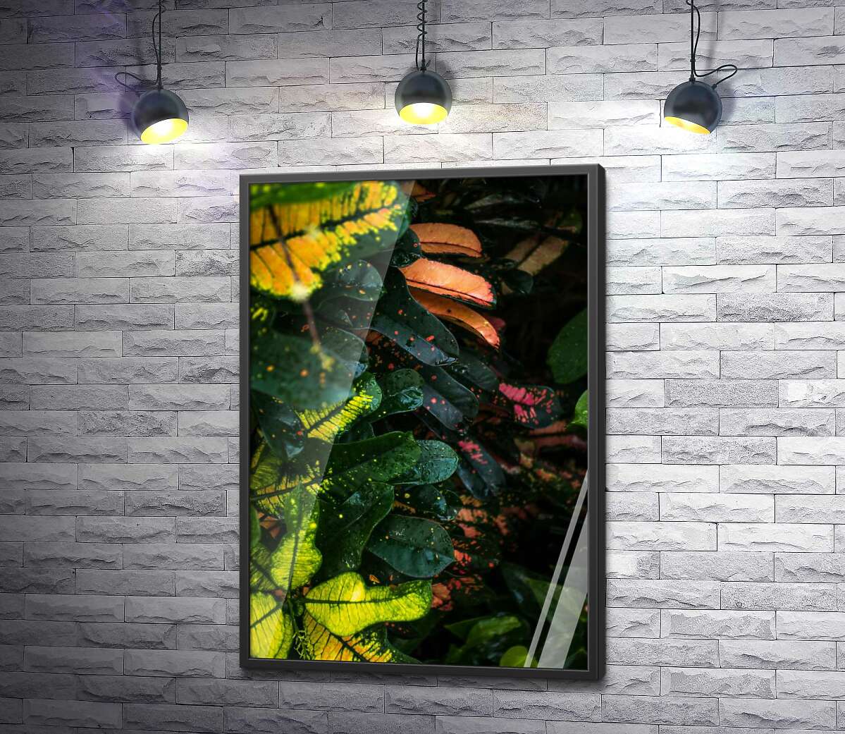 постер Плямисте листя зеленого куща кодіеума
