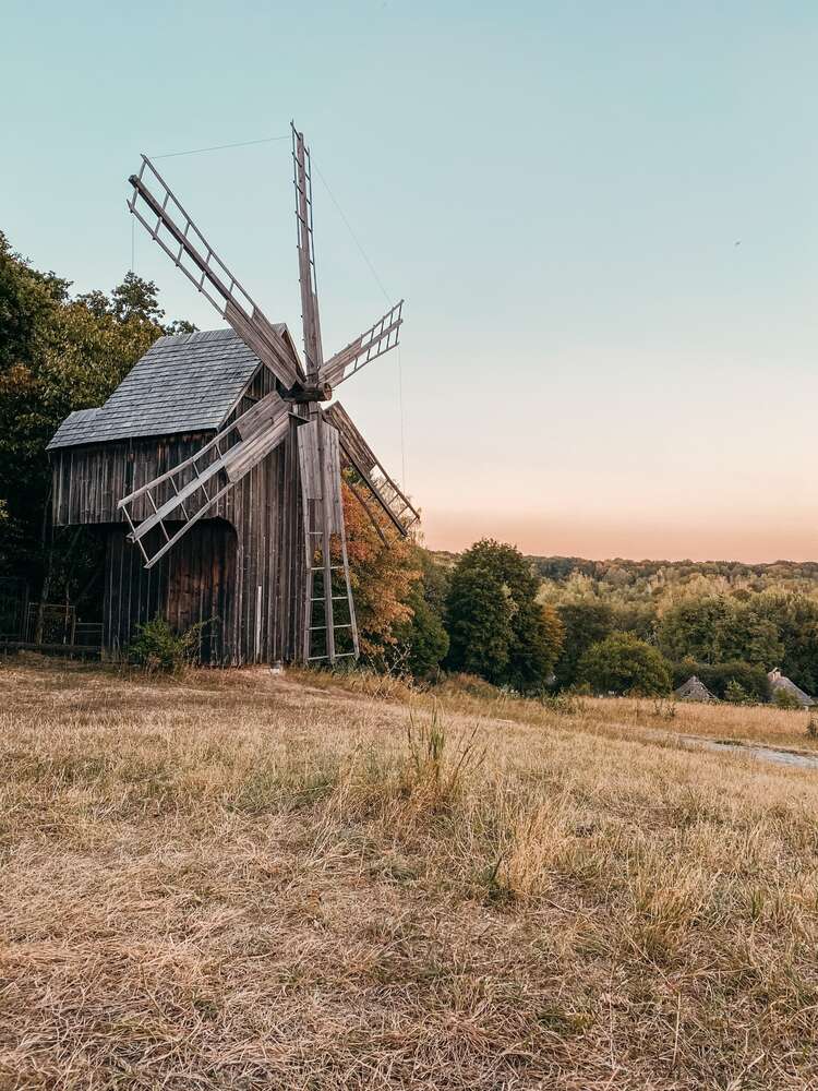 картина-постер Ветряная мельница одиноко стоит на краю леса
