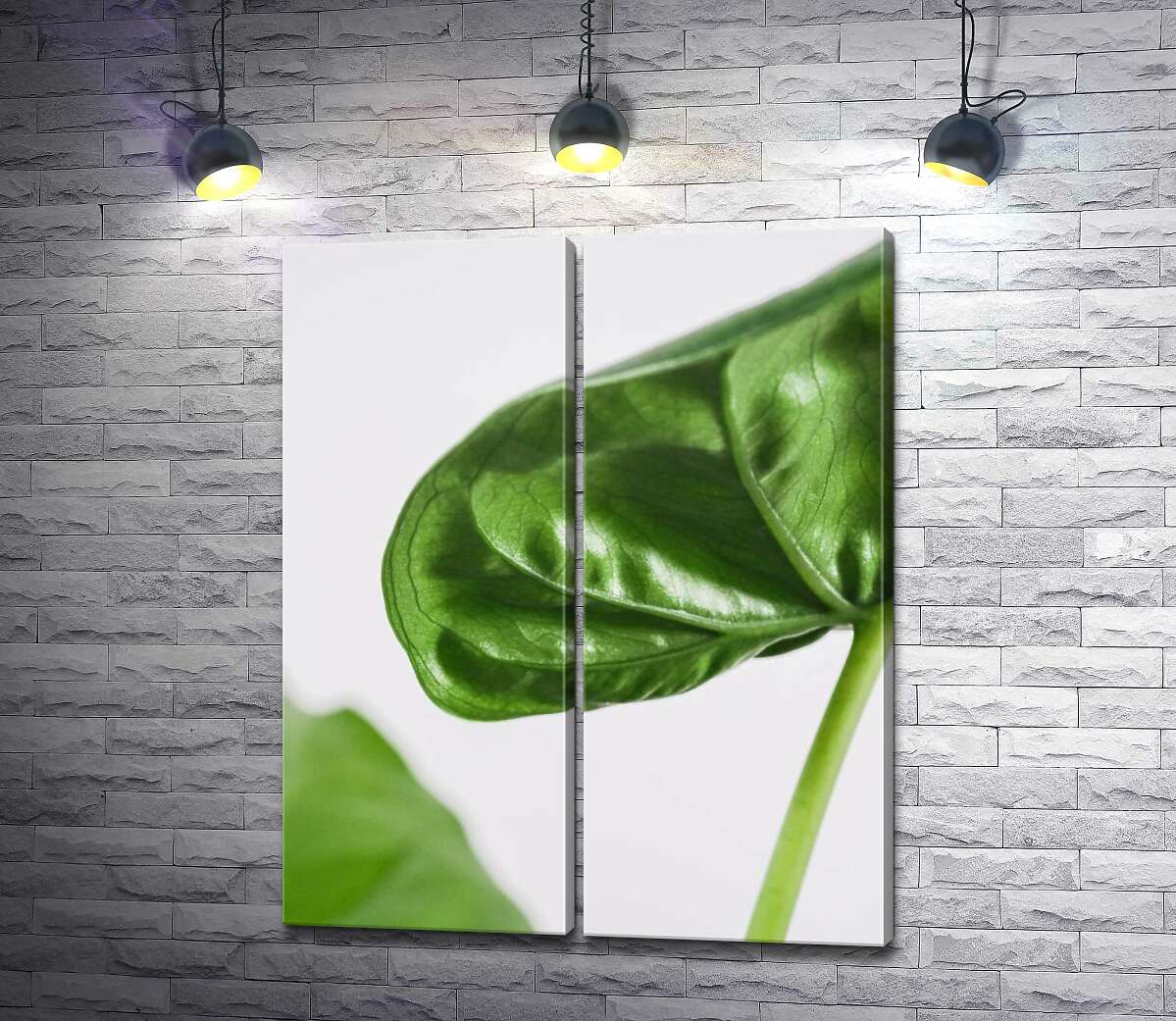 модульна картина Живильні соки течуть по зеленим прожилками листочка