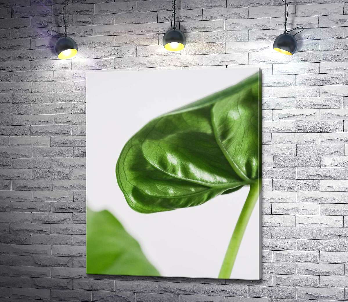 картина Питательные соки текут по зеленым прожилкам листочка