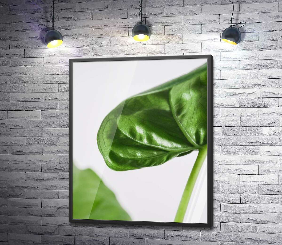 постер Живильні соки течуть по зеленим прожилками листочка