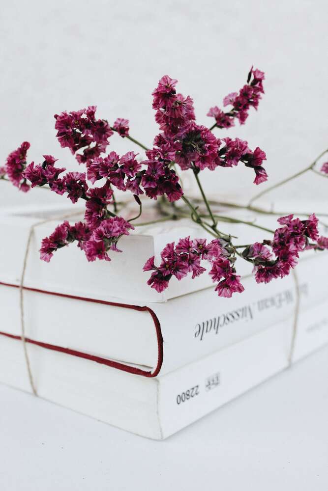 картина-постер Минималистичная красота белых книг с акцентом на бордовые цветы кермека