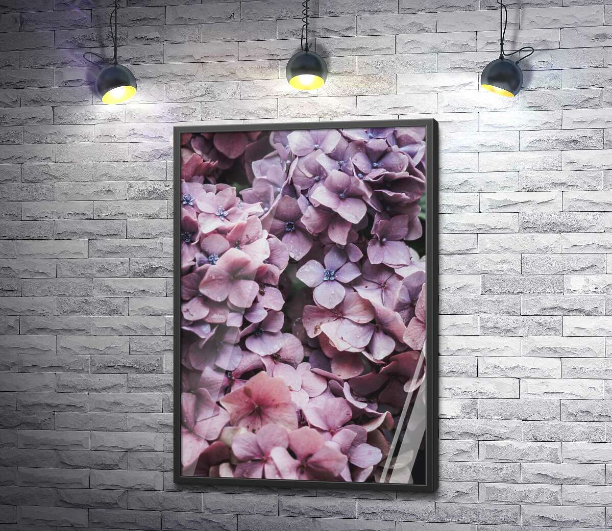 постер Розводи фіолетового на кучерявих пелюстках гортензії