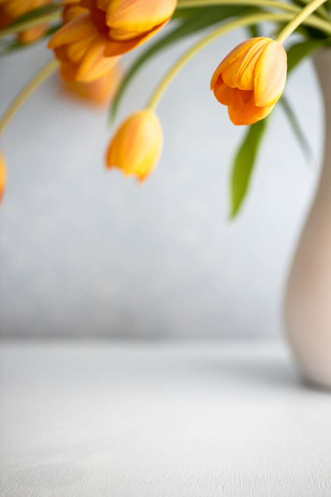 картина-постер Помаранчева арка букету тюльпанів