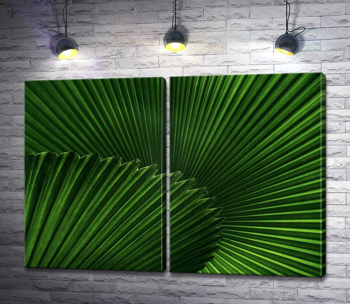 модульна картина Гостра симетрія листя пальми