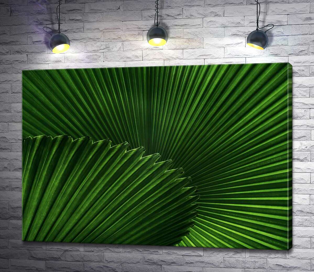картина Гостра симетрія листя пальми