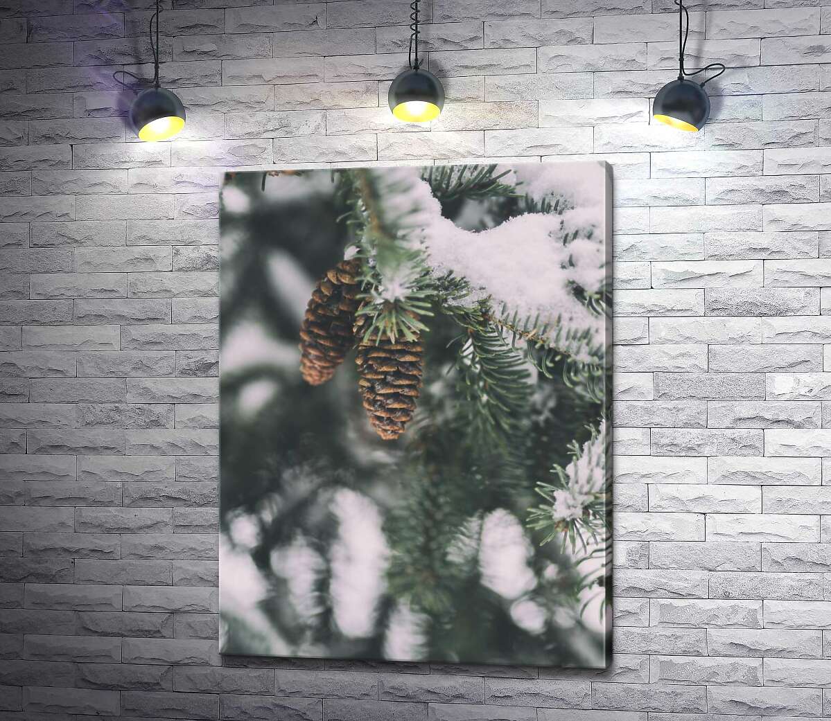 картина Сухі шишки висять на ялинці, присипаній снігом