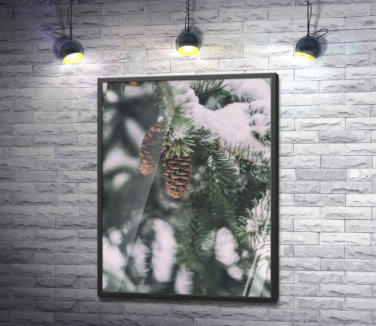 постер Сухие шишки висят на елке, присыпанной снегом