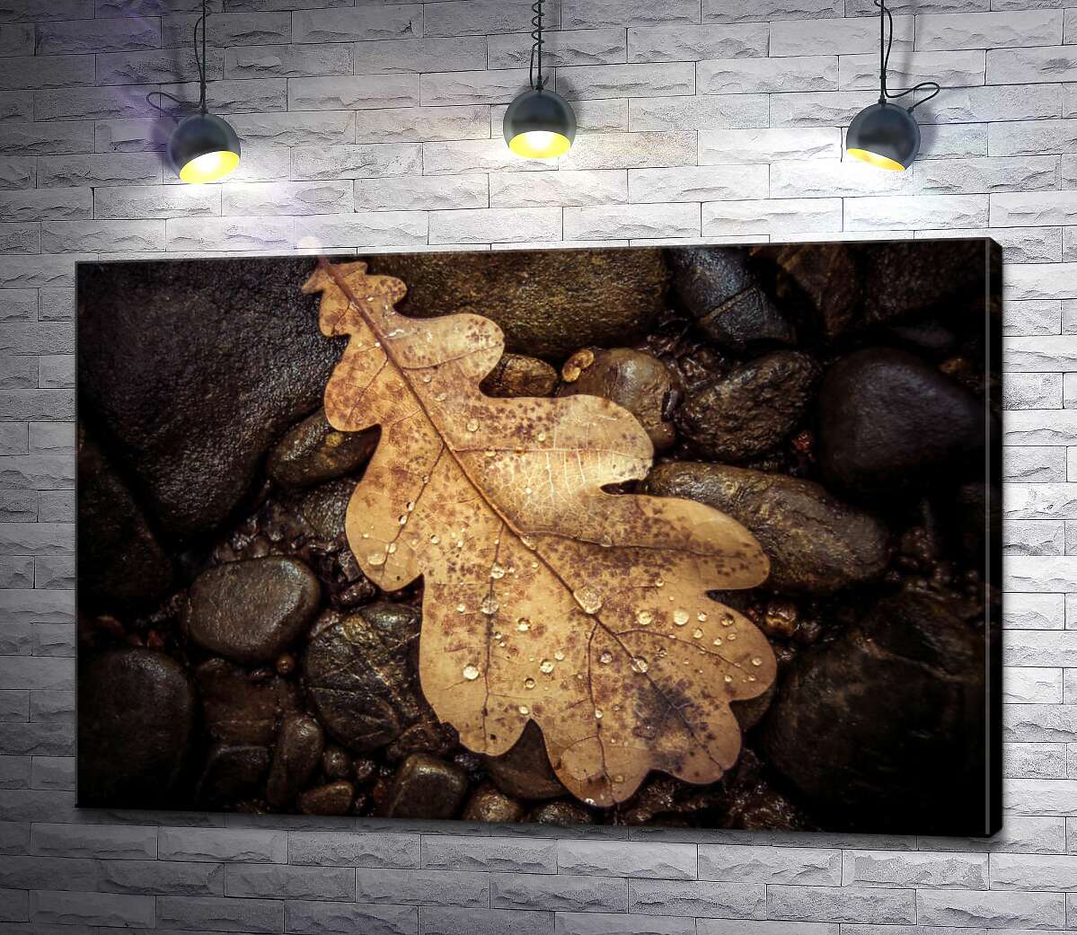 картина Сухий дубовий листочок лежить на камінні