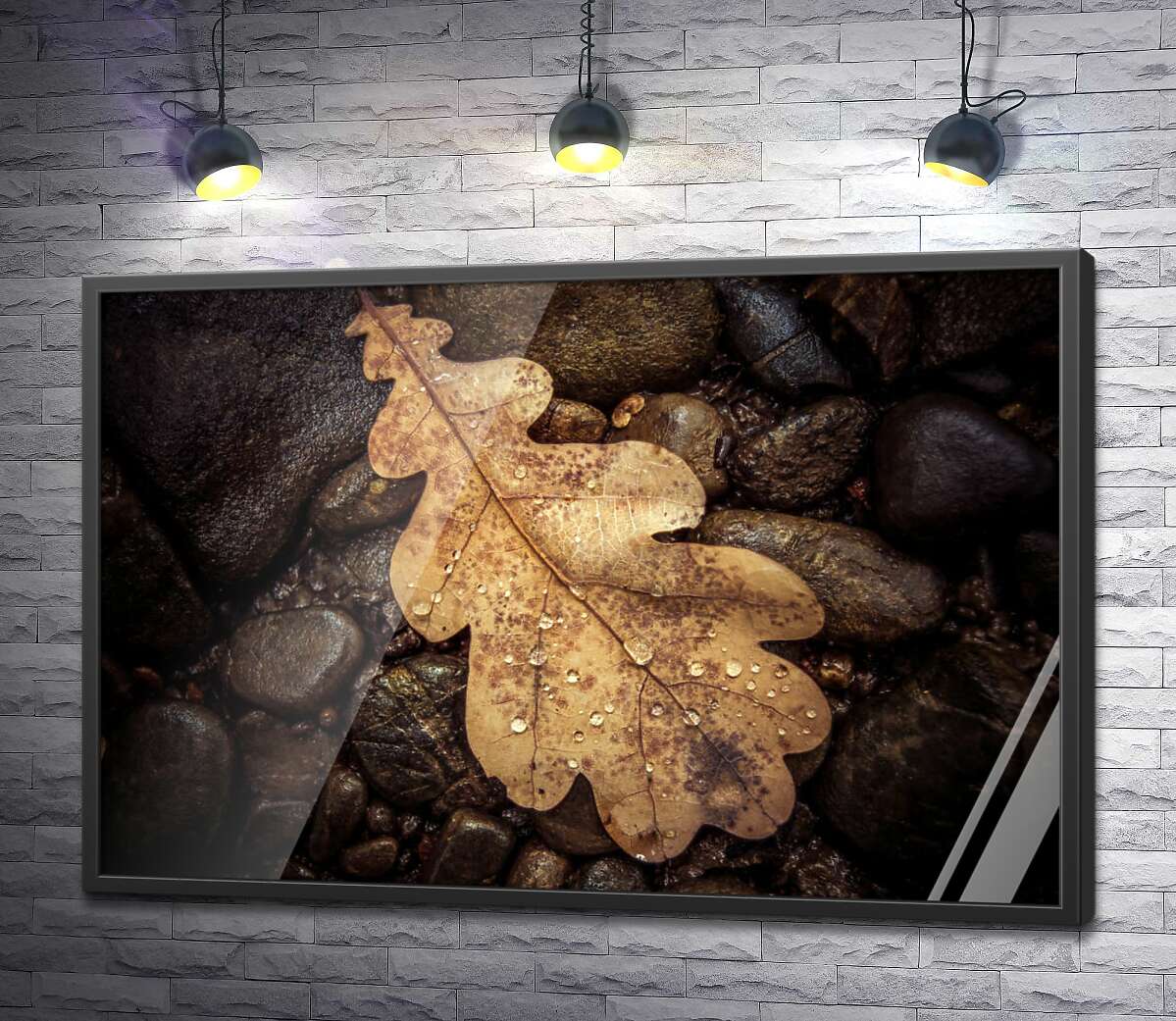 постер Сухий дубовий листочок лежить на камінні