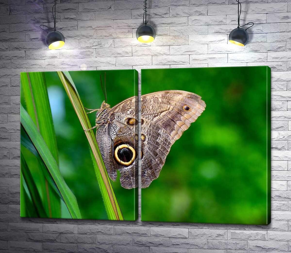 модульная картина Темная капля на пастельных крылышках бабочки