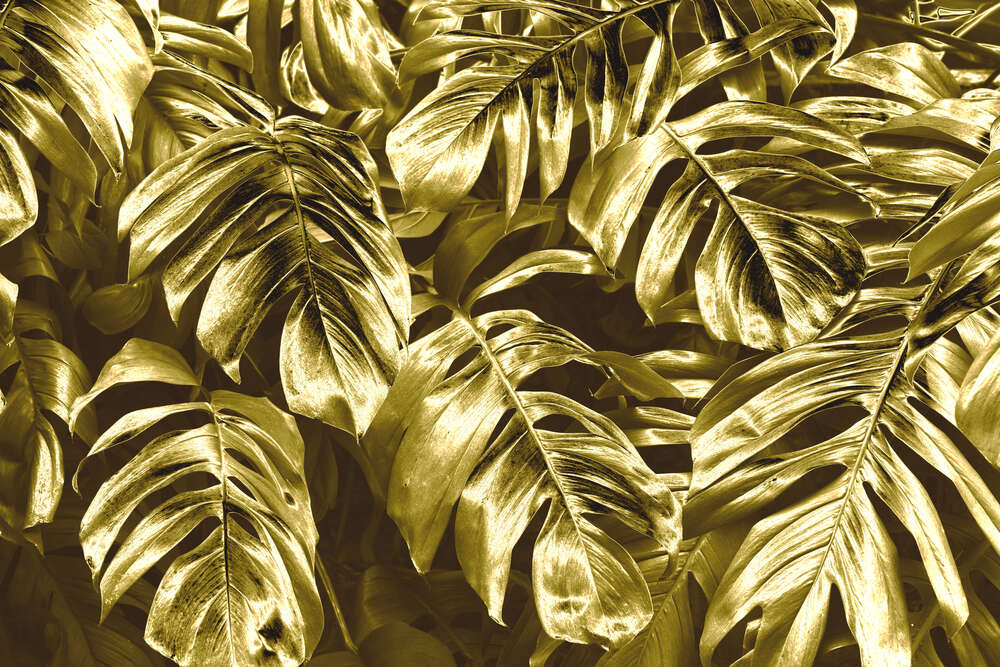 картина-постер Розкішне золото листків монстери