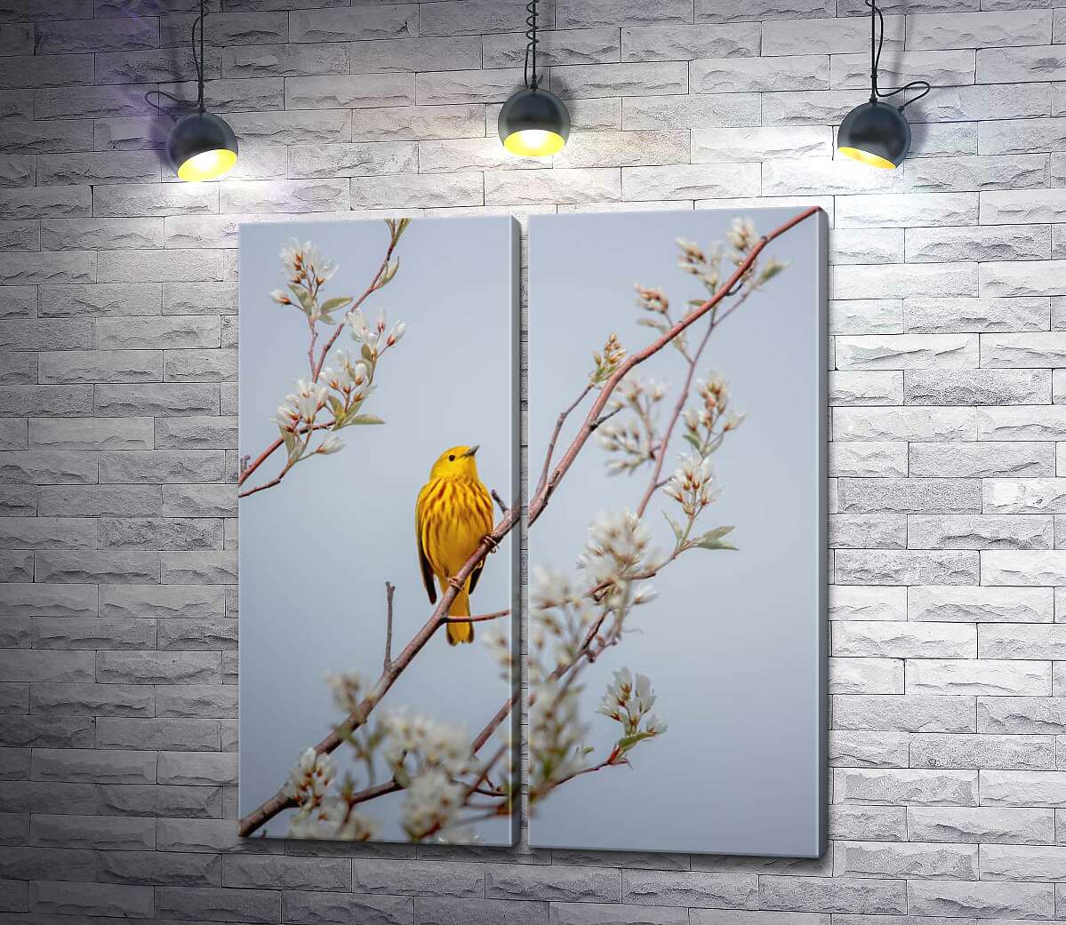 модульная картина Птица жёлтая древесница сидит на цветущем дереве