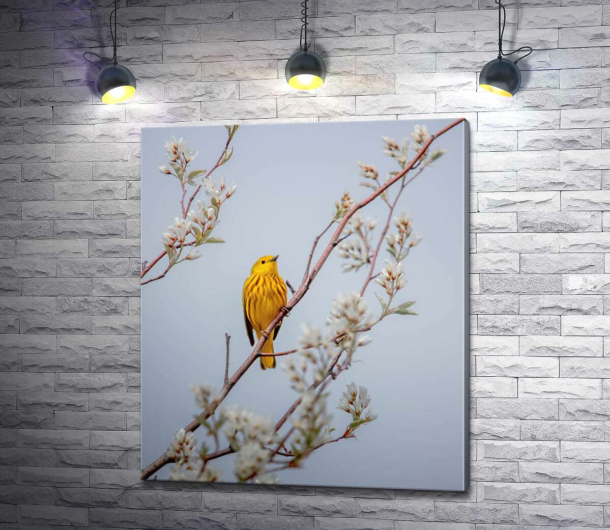 картина Птица жёлтая древесница сидит на цветущем дереве