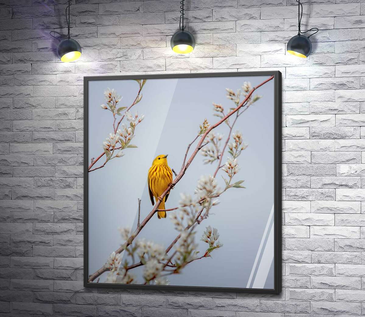 постер Птица жёлтая древесница сидит на цветущем дереве