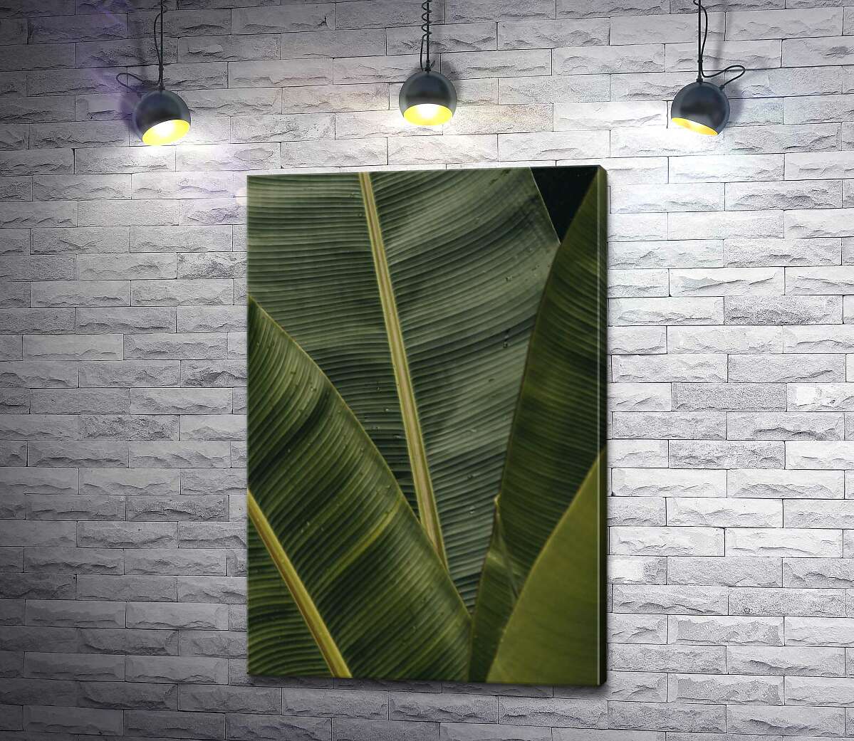 картина Зеленый веер из тропических листьев