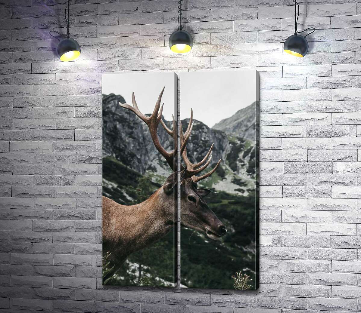 модульная картина Рогатый олень гуляет по горным склонам