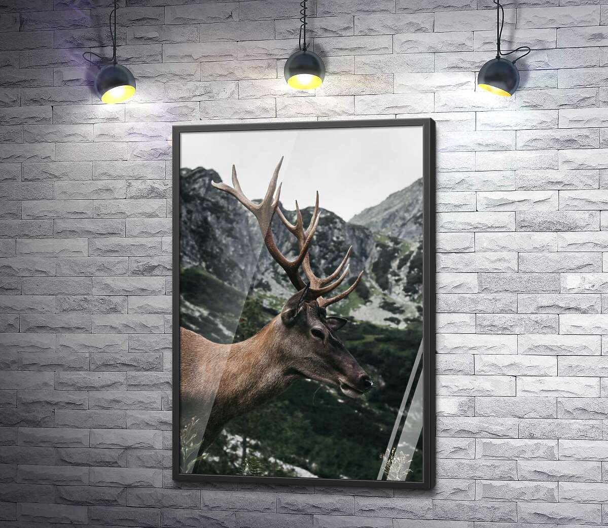 постер Рогатий олень гуляє гірськими схилами