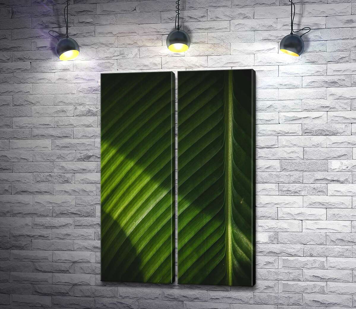 модульна картина Світло малює контраст тіней на поверхні пальмового листка