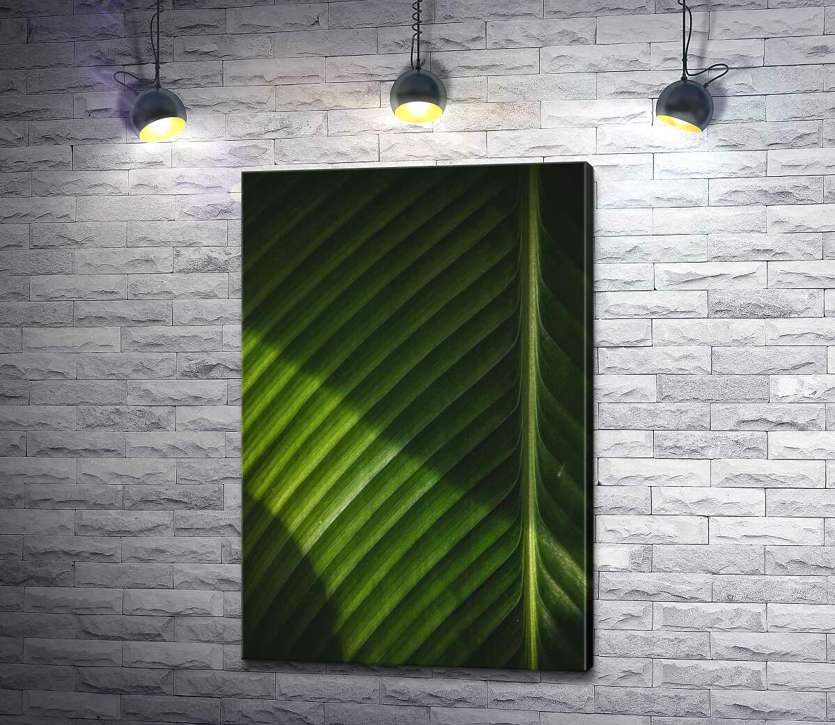 картина Свет рисует контраст теней на поверхности пальмового листа
