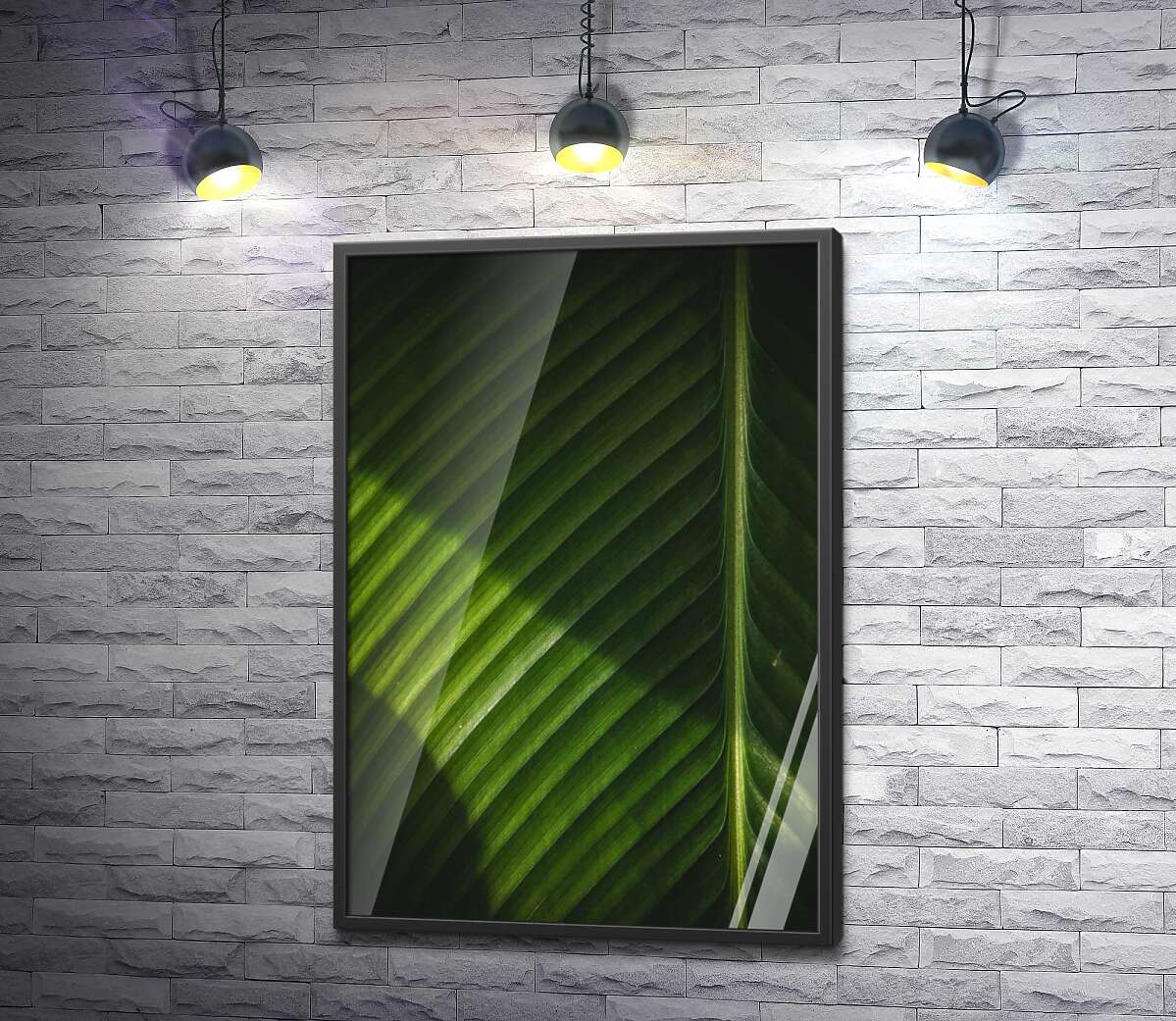 постер Світло малює контраст тіней на поверхні пальмового листка