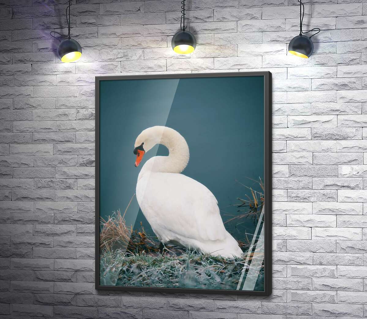 постер Лебедь грациозно сидит на берегу