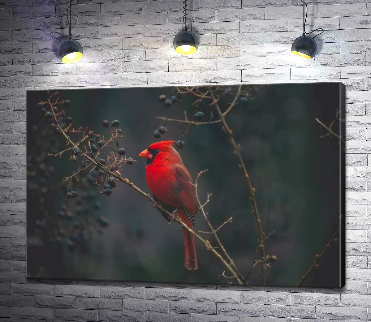 картина Красочная птица красный кардинал сидит на кусте с ягодами