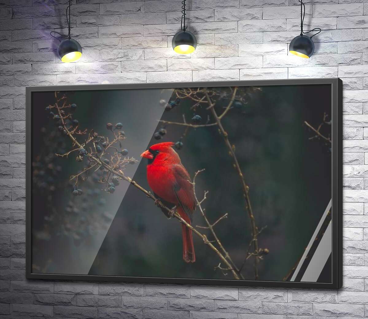 постер Красочная птица красный кардинал сидит на кусте с ягодами